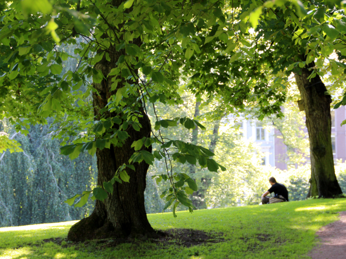 Dronningparken er ein fin stad å ta ein pust i bakken! Foto: Liv Osmundsen, Det kongelege hoffet